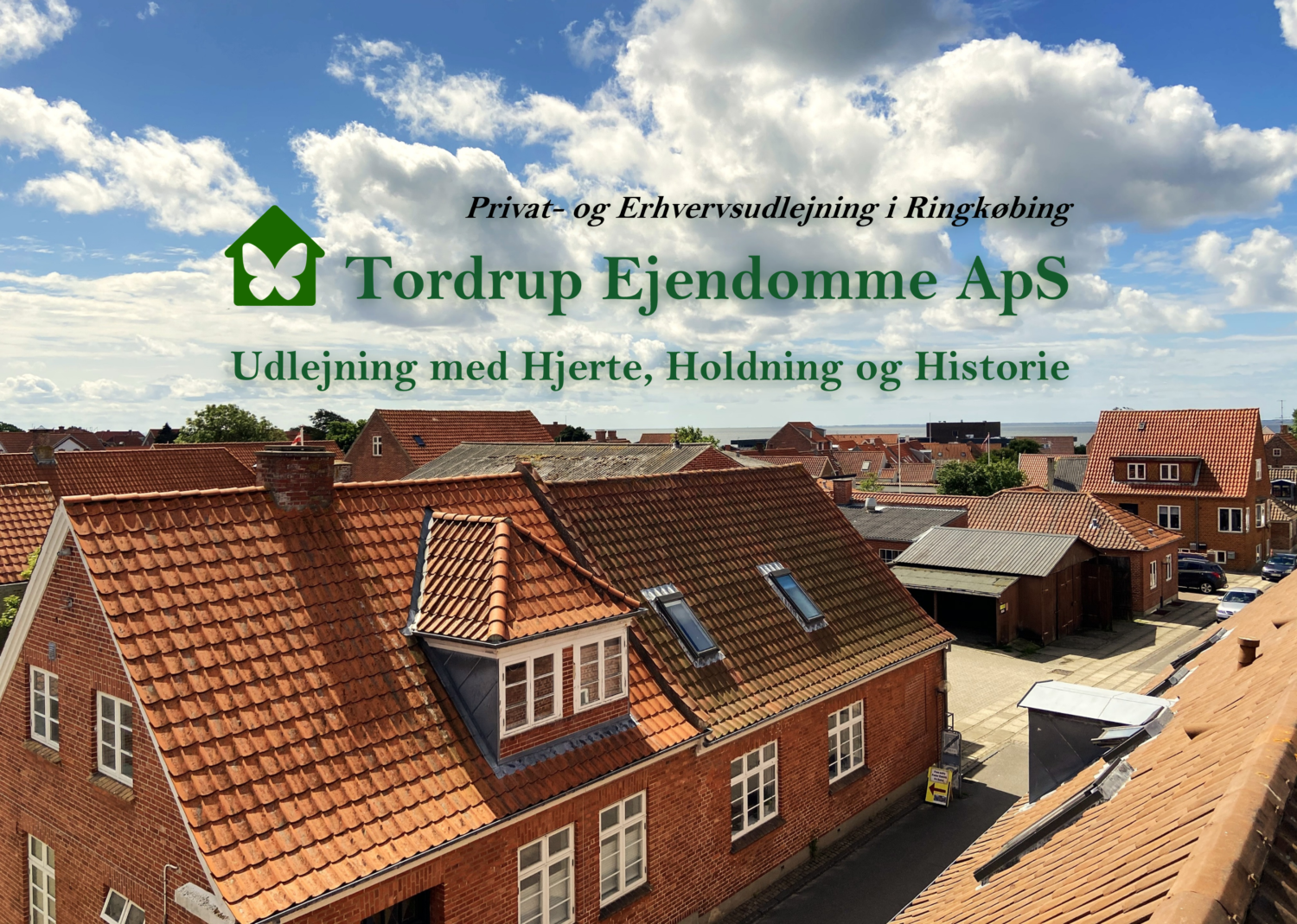Ringkøbing tage med logo i baggrunden - regulær form